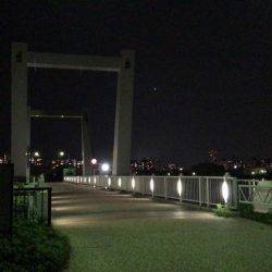 西宮跳ね橋　高速バチ　セイゴ